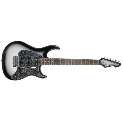 Peavey raptor store custom silverburst